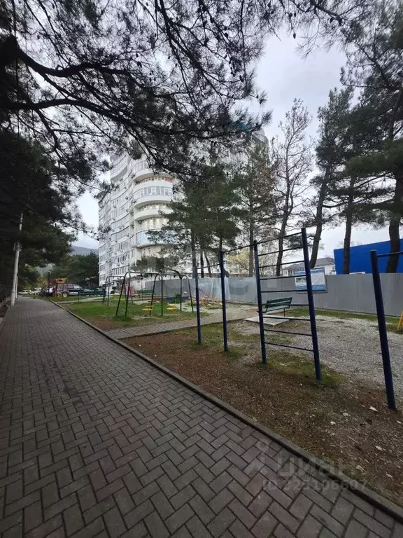 Офис в Краснодарский край, Геленджик ул. Шмидта, 8 (282 м) - Фото 2