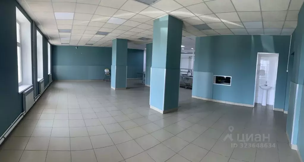 Помещение свободного назначения в Кировская область, Киров ул. ... - Фото 1