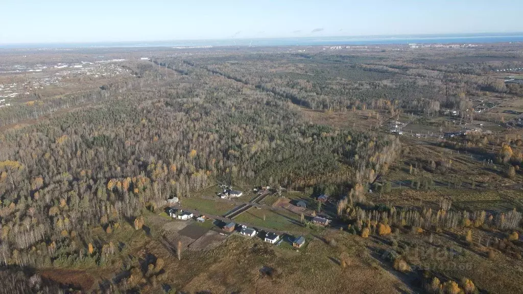 Участок в Ленинградская область, Ломоносовский район, Низинское с/пос, ... - Фото 2