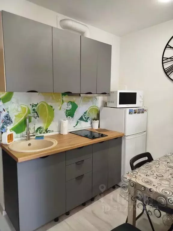 Студия Ленинградская область, Мурино Всеволожский район, бул. ... - Фото 1