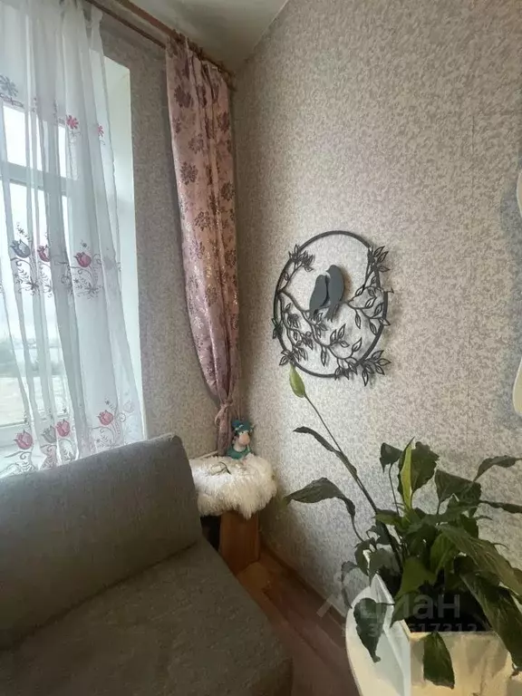 Комната Санкт-Петербург Косая линия, 24/25 (24.0 м) - Фото 1