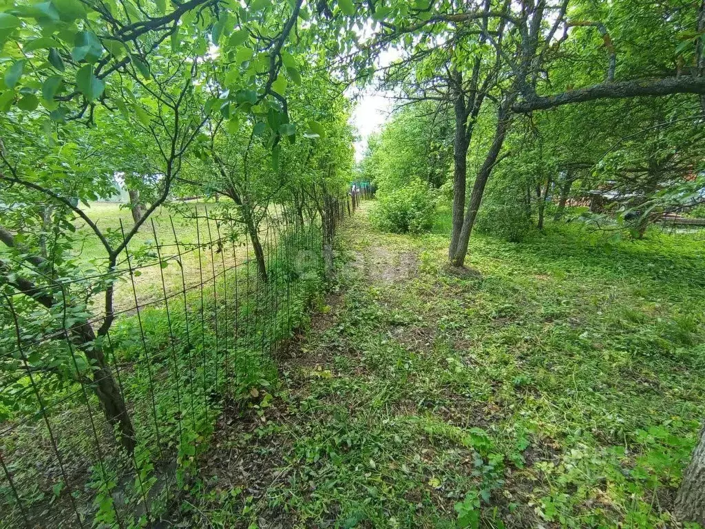 Участок в Белгородская область, Старооскольский городской округ, с. ... - Фото 0