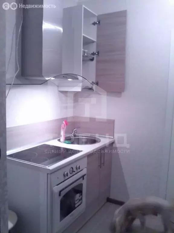 Квартира-студия: Санкт-Петербург, проспект Просвещения, 43 (29.37 м) - Фото 2