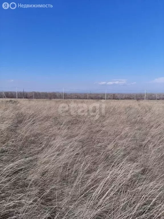 Участок в Алтайский район, село Белый Яр (12 м) - Фото 1