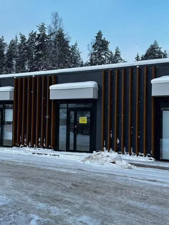 Торговая площадь в Московская область, Истра муниципальный округ, д. ... - Фото 2