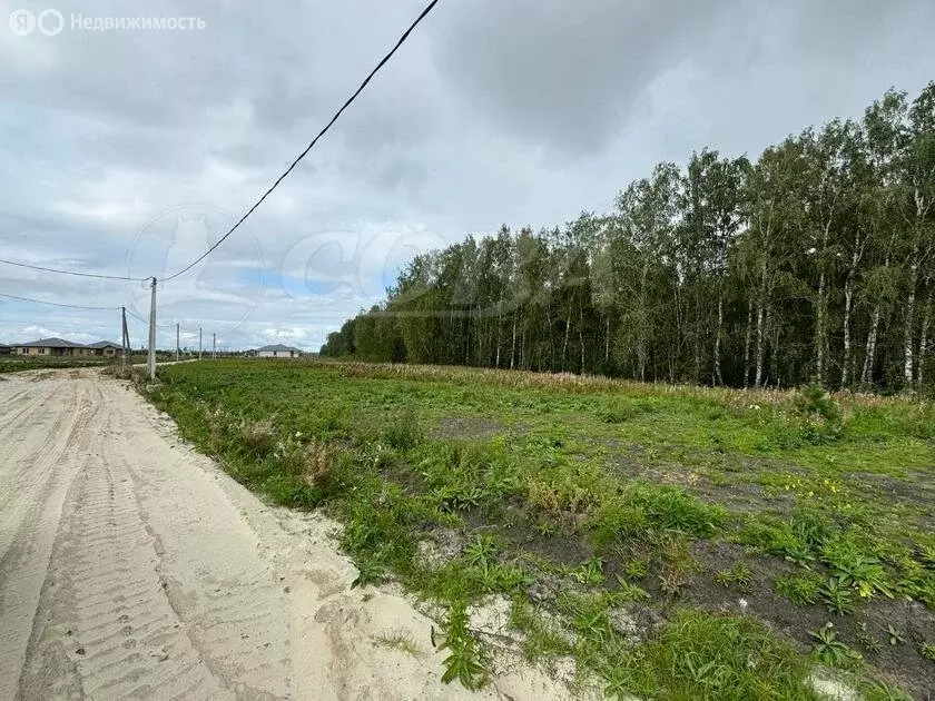 Участок в Тюменский район, деревня Елань (7 м) - Фото 1