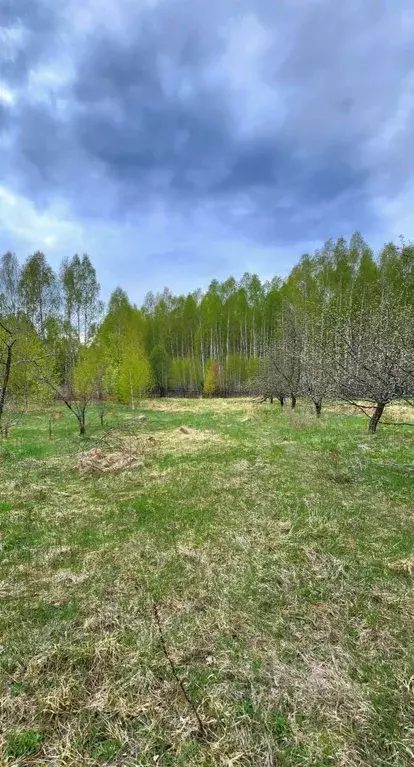 Дом в Нижегородская область, Воротынский городской округ, с. Каменка ... - Фото 1