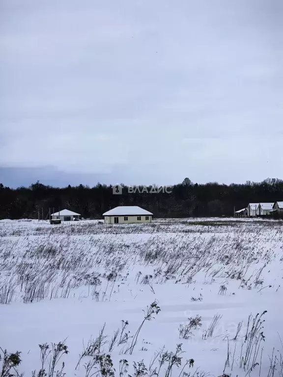 Участок в Калининградская область, Гурьевский муниципальный округ, ... - Фото 2