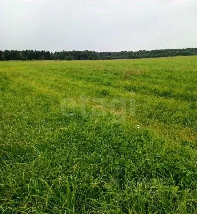 Участок в Вологодская область, пос. Надеево  (15.0 сот.) - Фото 1