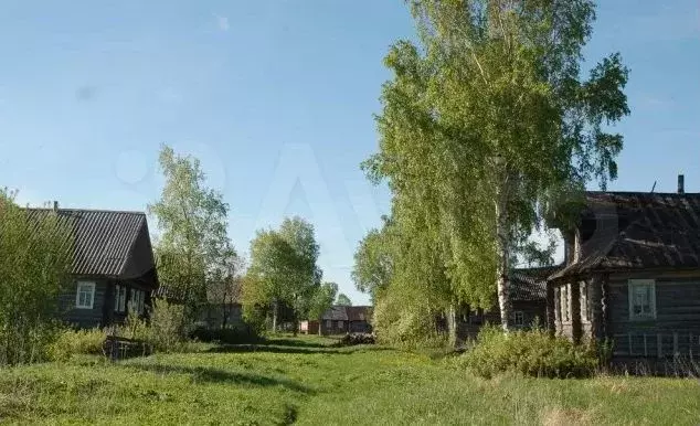 Участок 43 сот. (ИЖС) - Фото 0