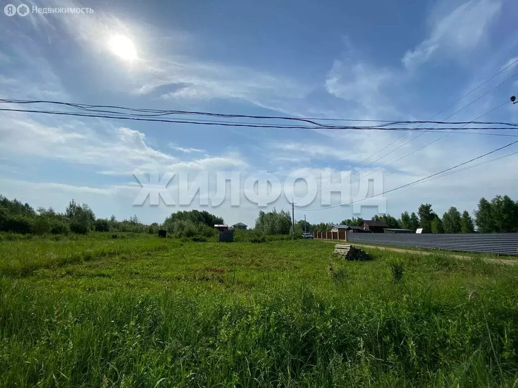 Участок в Криводановский сельсовет, ДНТ Озерки (12 м) - Фото 1