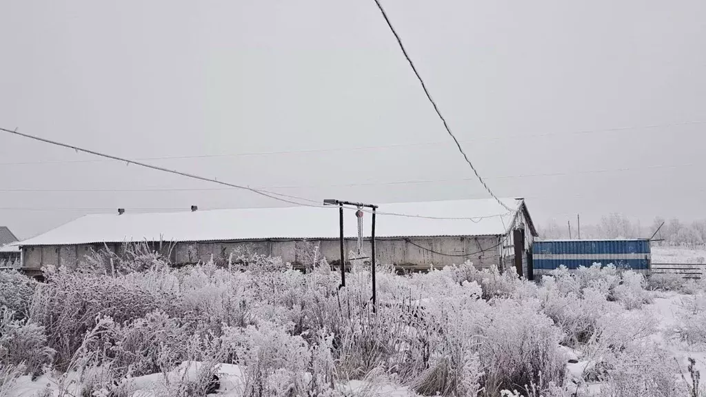 Производственное помещение в Омская область, Омский район, Дружинское ... - Фото 0