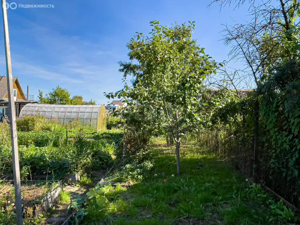 Дом в Вологда, садоводческое товарищество Ручеёк (46.9 м) - Фото 1