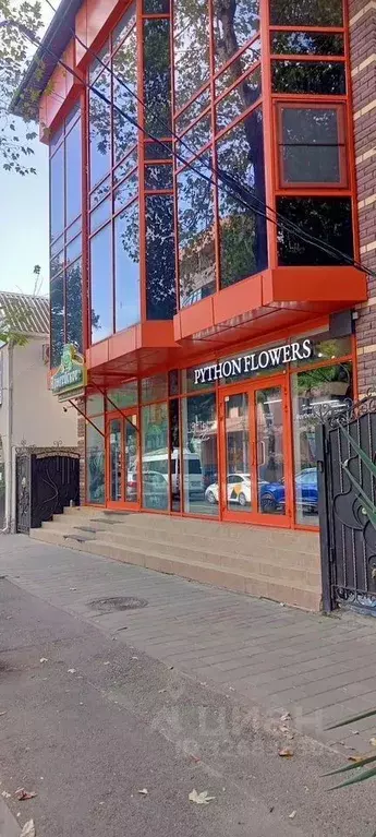 Помещение свободного назначения в Краснодарский край, Анапа Крымская ... - Фото 2