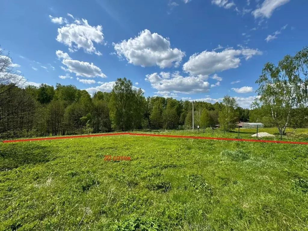 Участок в Тульская область, Заокский район, Страховское муниципальное ... - Фото 1