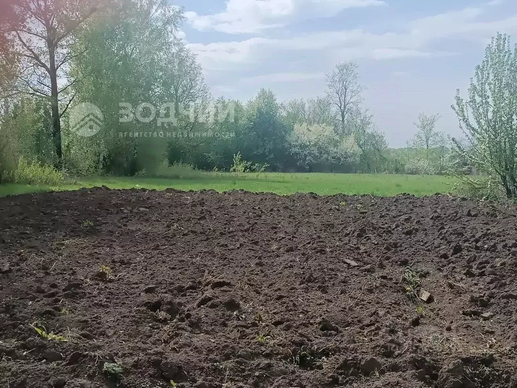 Участок в Чувашия, Цивильский муниципальный округ, д. Кисербоси ул. ... - Фото 1