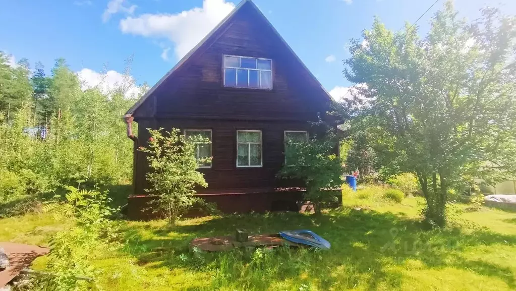 Дом в Вологодская область, Бабаевский муниципальный округ, д. Ольховик ... - Фото 1