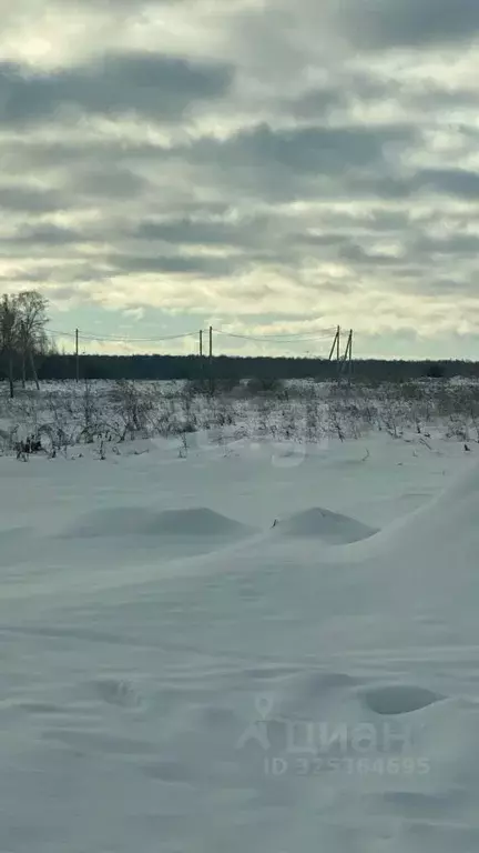 Участок в Новосибирская область, Новосибирский район, Криводановский ... - Фото 2