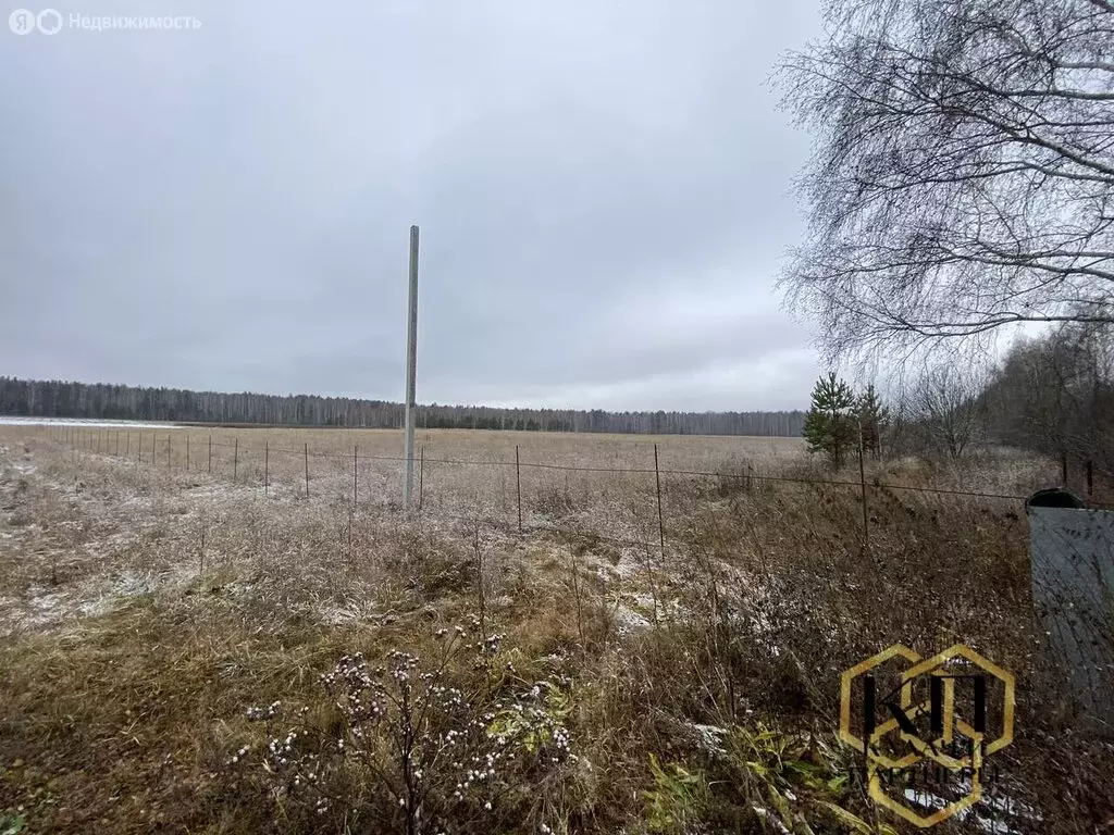 Участок в Свердловская область, Белоярский муниципальный округ (170000 ... - Фото 2