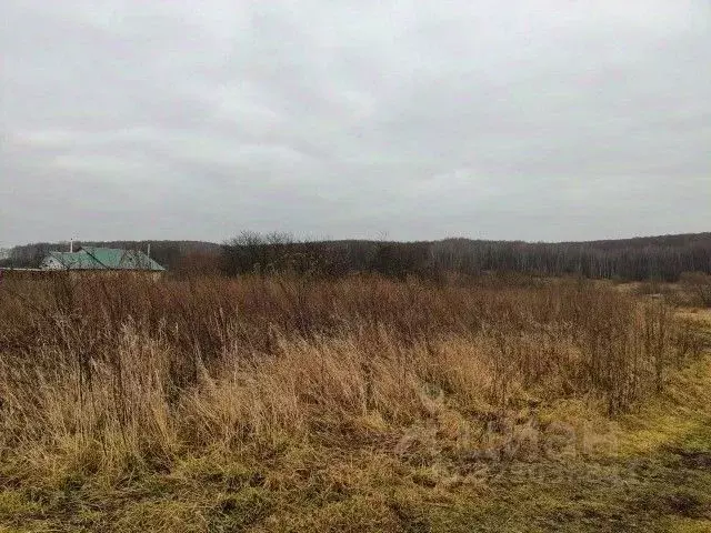 Участок в Московская область, Зарайск муниципальный округ, д. ... - Фото 1