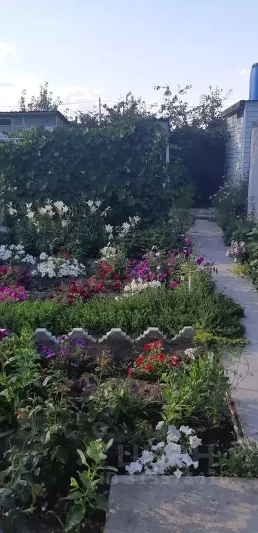 Комната Оренбургская область, Соль-Илецк Гатчинская ул., 23 - Фото 2