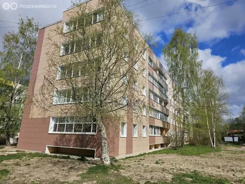 1-комнатная квартира: Подпорожье, Красноармейская улица, 13 (32 м) - Фото 0