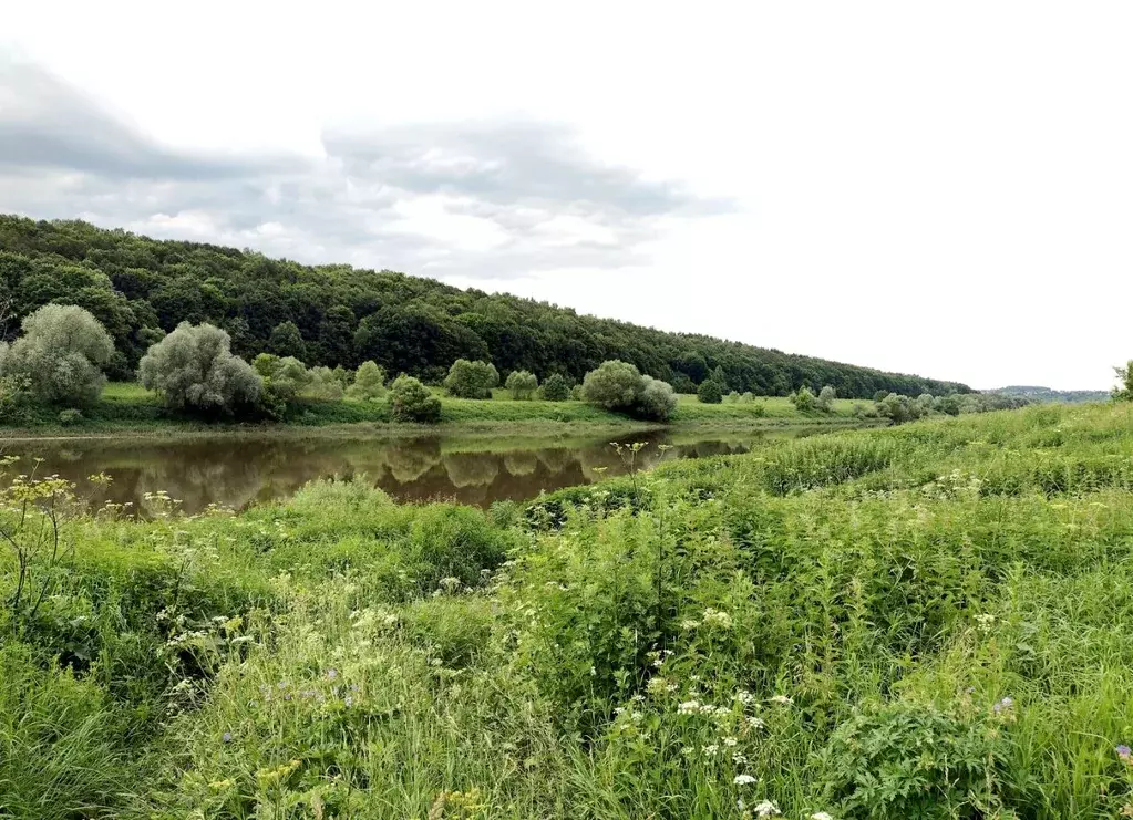 Участок в Тульская область, Суворовский район, Северо-Западное с/пос, ... - Фото 2