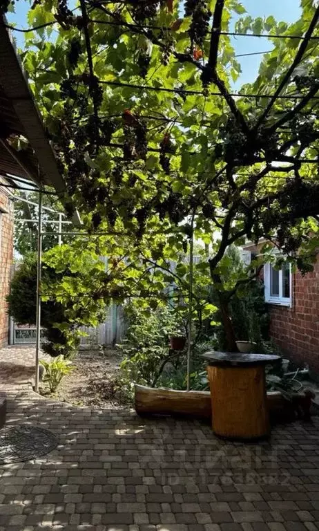 Дом в Краснодарский край, Ейск ул. Кирова, 78 (14 м) - Фото 0