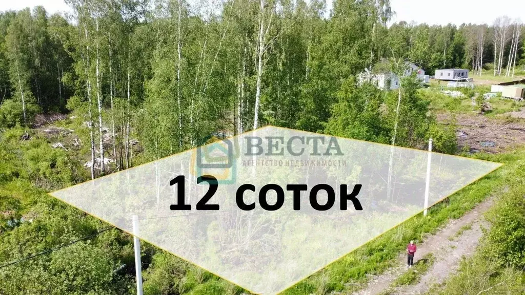 Участок в Санкт-Петербург пос. Парголово, Осиновая Роща исторический ... - Фото 1