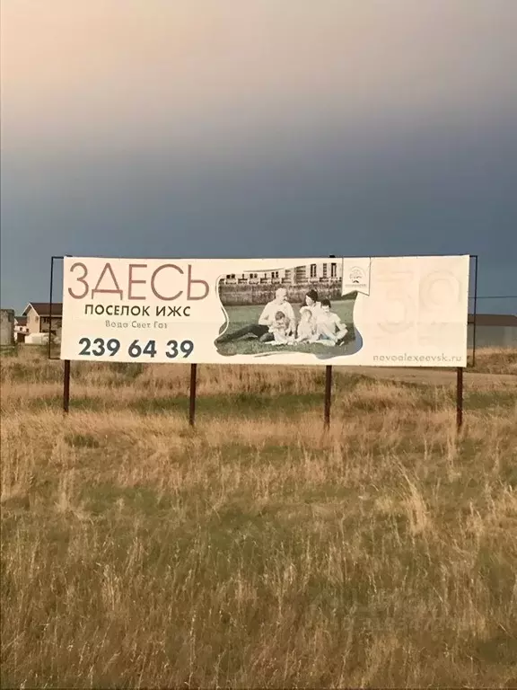 Участок в Новосибирская область, Новосибирский район, Толмачевский ... - Фото 1