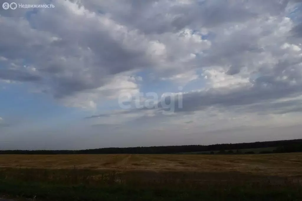 Участок в сельское поселение Трубино, деревня Луканино (188 м) - Фото 0