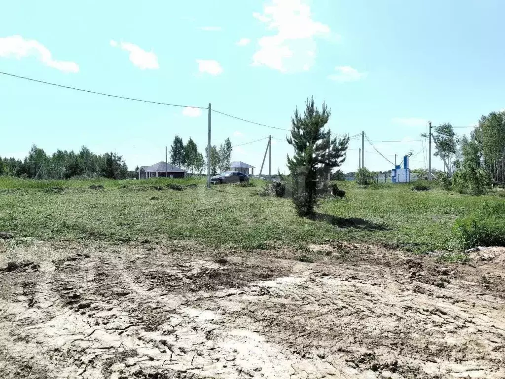 Участок 8 сот. (СНТ, ДНП) - Фото 1