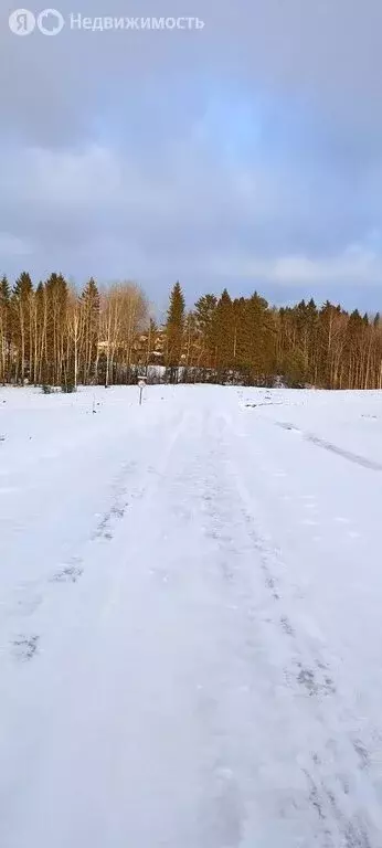 Участок в Добрянский городской округ, деревня Залесная (14.1 м) - Фото 1