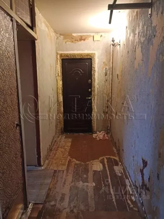 2-к кв. Ленинградская область, Луга Набережная ул., 8 (53.3 м) - Фото 1