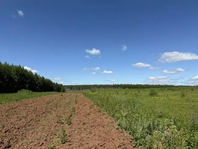 Участок в Удмуртия, Воткинский район, д. Сидоровы Горы  (8.0 сот.) - Фото 1