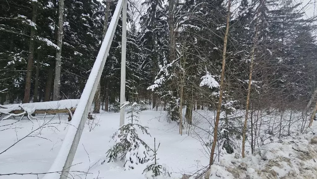 Участок в Московская область, Наро-Фоминский городской округ, д. ... - Фото 1