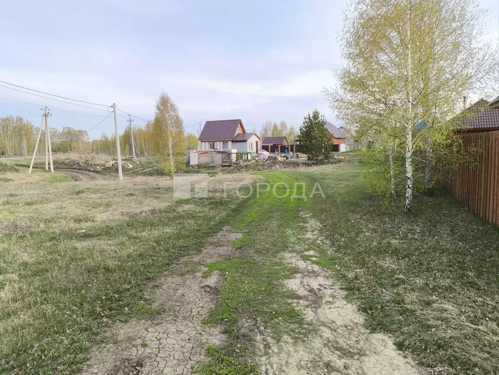 Участок в Новосибирская область, Новосибирский район, с. Верх-Тула ул. ... - Фото 0