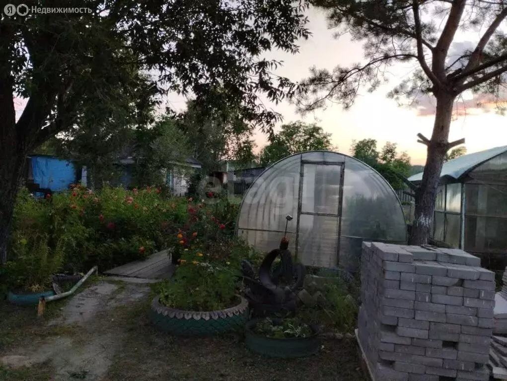 Дом в Райчихинск, Волочаевская улица (33.3 м) - Фото 2