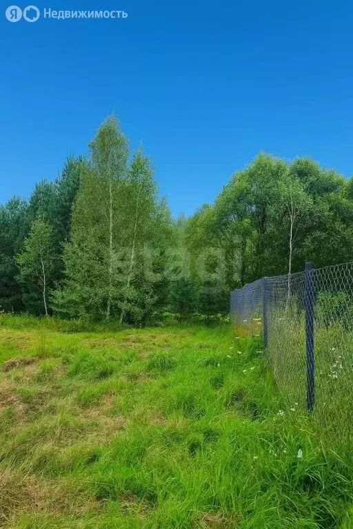 Участок в Ярославский муниципальный округ, деревня Полесье (8 м) - Фото 2