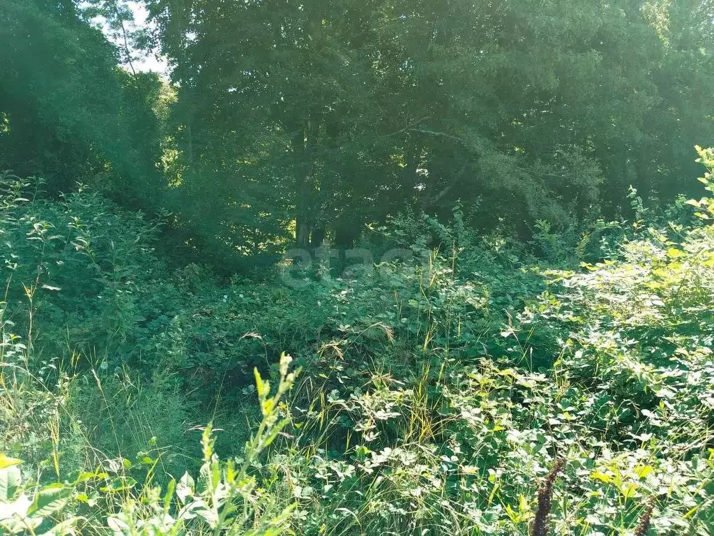 Участок в Краснодарский край, Геленджик городской округ, Строитель СТ  ... - Фото 2