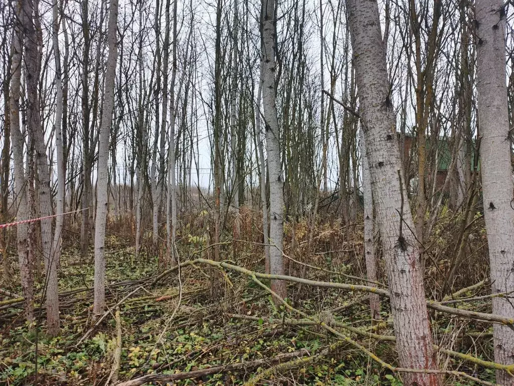 Участок в Московская область, Чехов муниципальный округ, д. Васькино ... - Фото 1