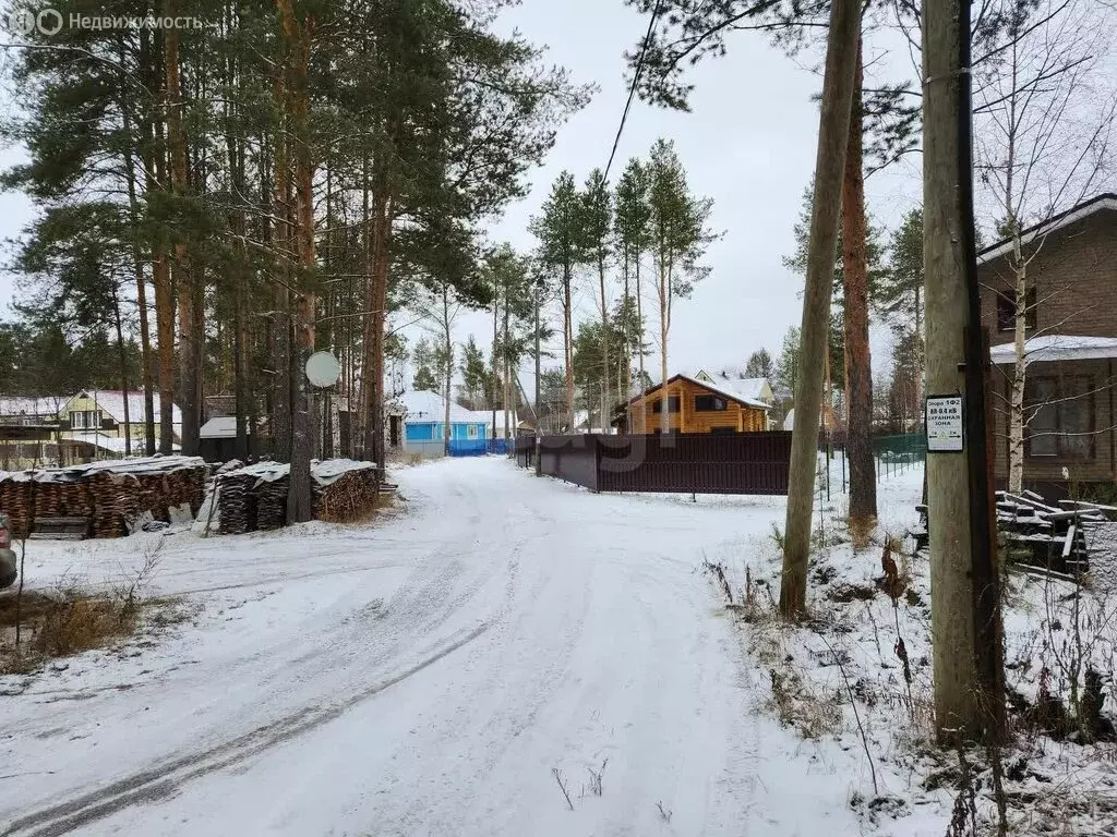 Торговая площадь (33.5 м) - Фото 2