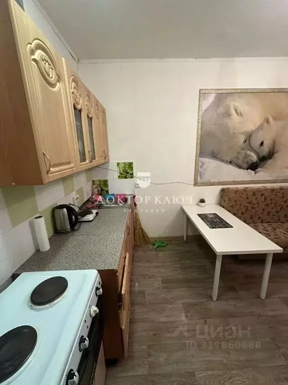 1-к кв. Новосибирская область, Новосибирск Березовая ул., 19 (18.9 м) - Фото 0