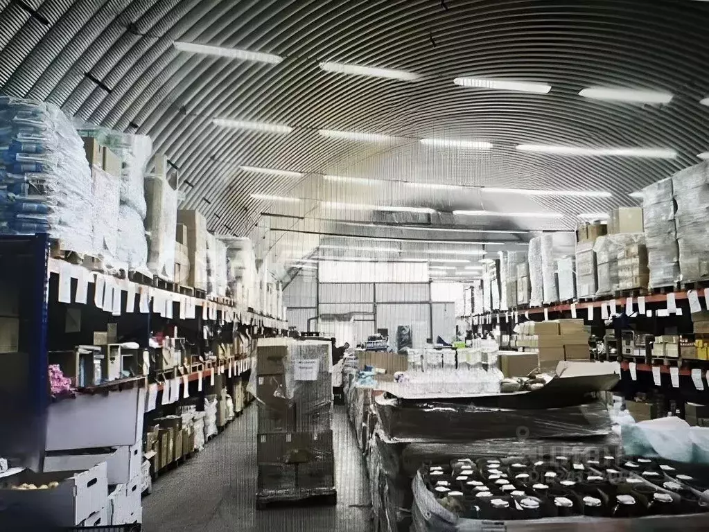 Помещение свободного назначения в Кемеровская область, Кемерово Р-255 ... - Фото 2