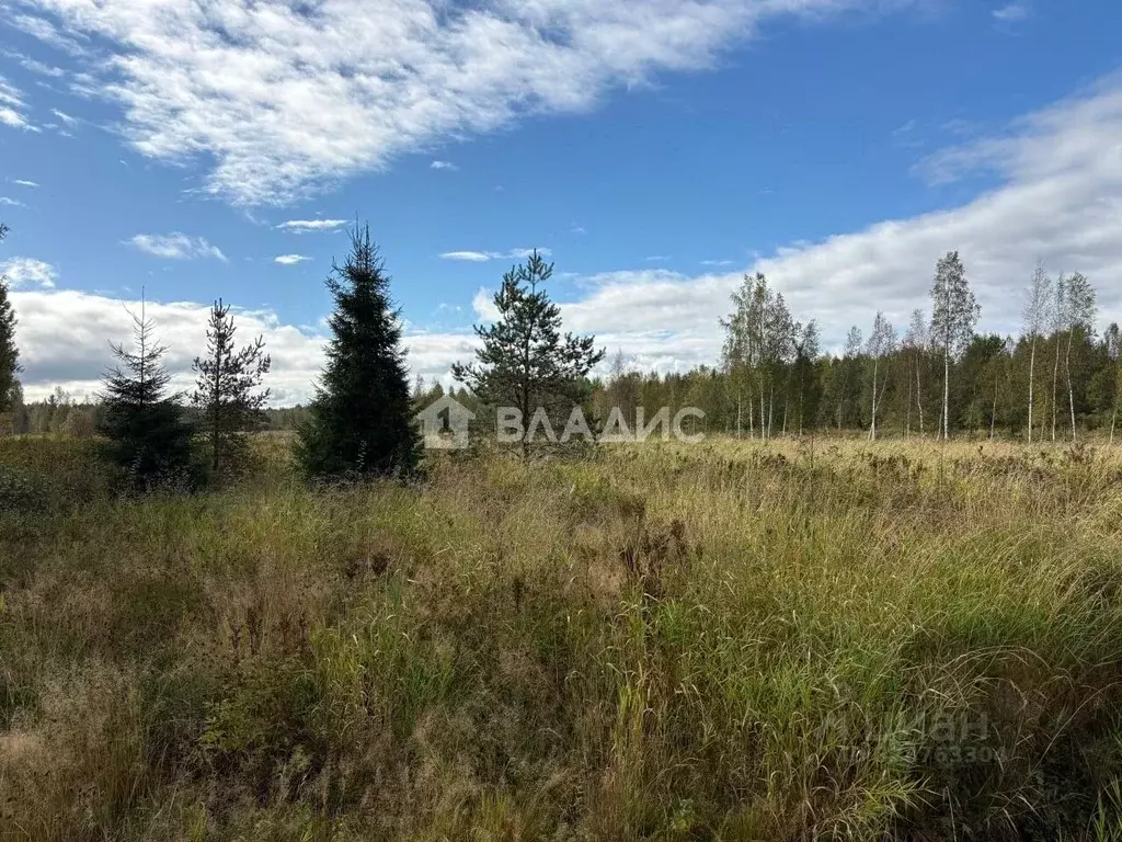 Участок в Ленинградская область, Всеволожский район, Куйвозовское ... - Фото 1