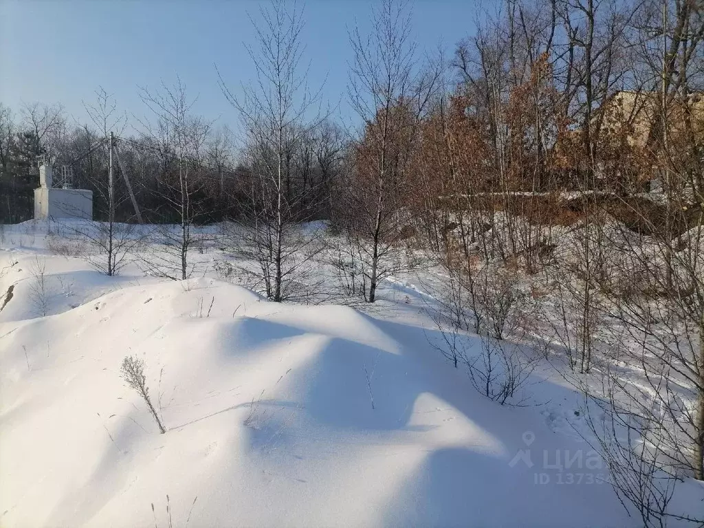 Участок в Амурская область, Благовещенск Игнатьевское ш. (15.0 сот.) - Фото 0