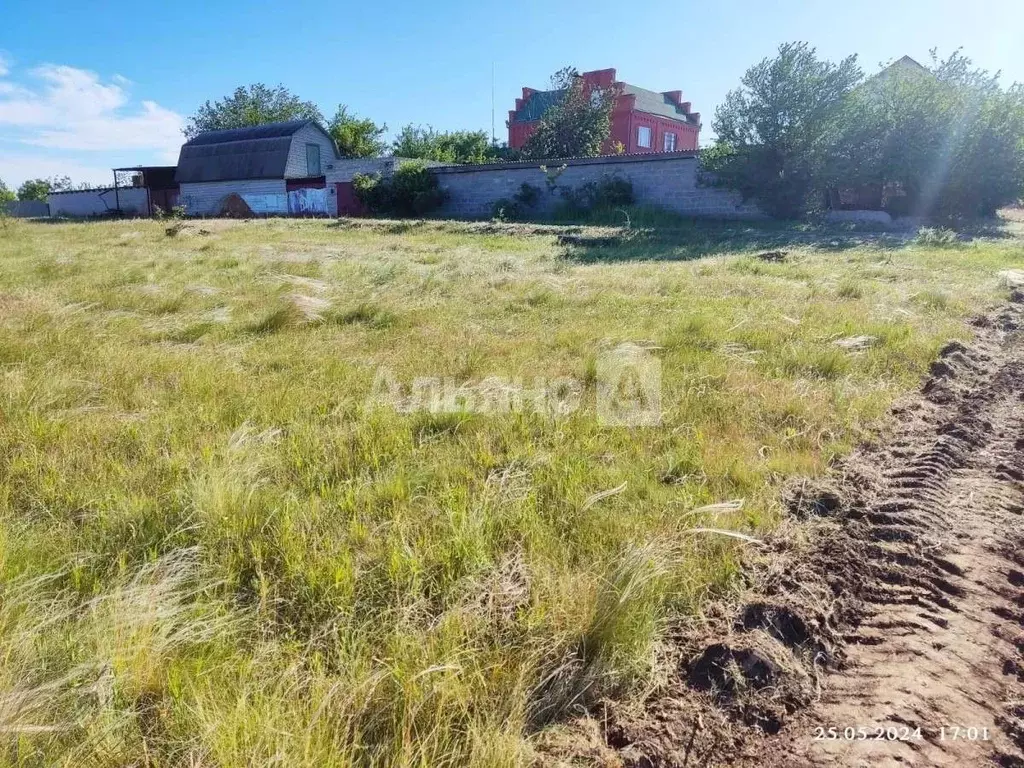 Участок в Ростовская область, Белая Калитва ул. И. Талькова (10.0 ... - Фото 2