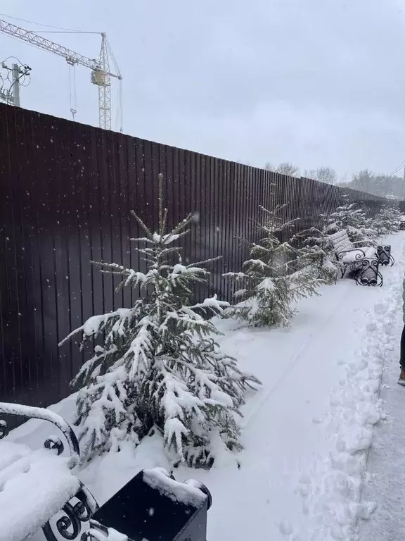 1-к кв. Тамбовская область, Тамбов городской округ, д. Перикса ул. ... - Фото 0