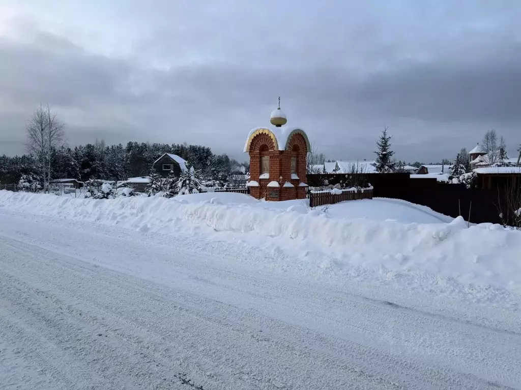 Участок в Владимирская область, Александровский муниципальный округ, ... - Фото 1