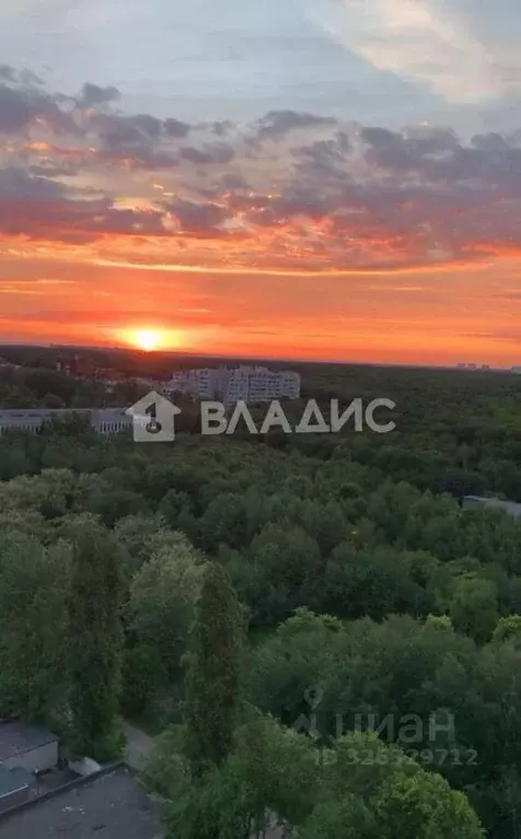 1-к кв. Воронежская область, Воронеж ул. Ломоносова, 114/22к2 (36.2 м) - Фото 1